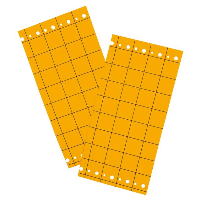 Pièges mouche de la carotte, plaques chromatiques engluées oranges (10 Plaques de 25x10cm)